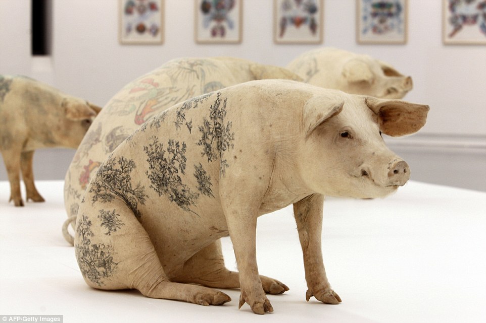 Tatuaże na świniach, Zwierzęta w sztuce współczesnej